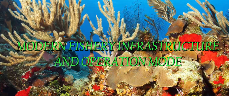 Modern fishery infrastructure and operation mode