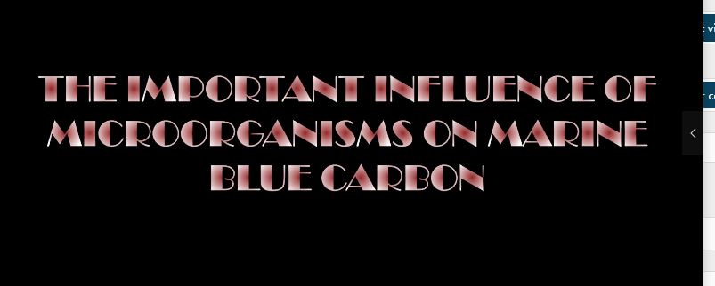 The important influence of microorganisms on Marine blue carbon