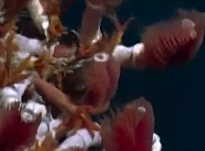 Those fascinating benthos