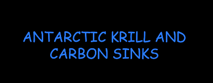 Antarctic krill and carbon sink