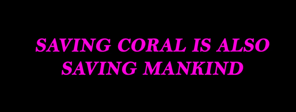 Saving coral is also saving mankin