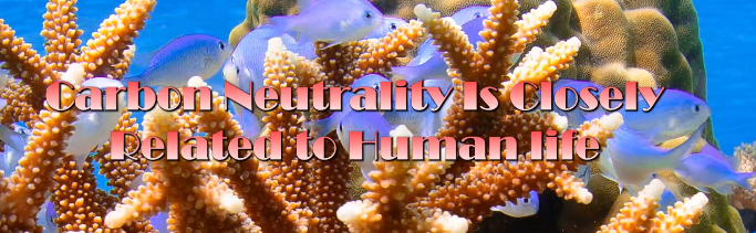 Carbon neutrality is closely related to human life