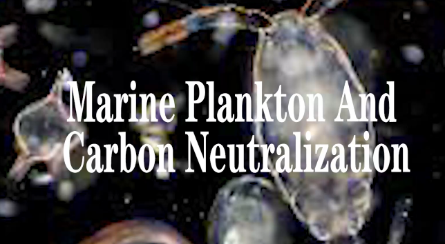 Marine plankton and carbon neutralization
