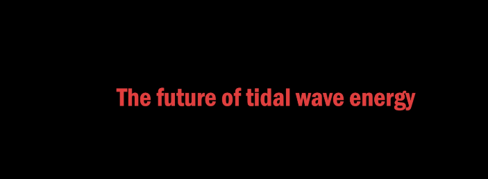 The future of tidal wave energy