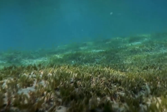 The correct fishing nets can bring people better marine resources.