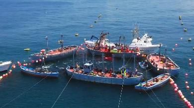 Rational use of Marine photovoltaic