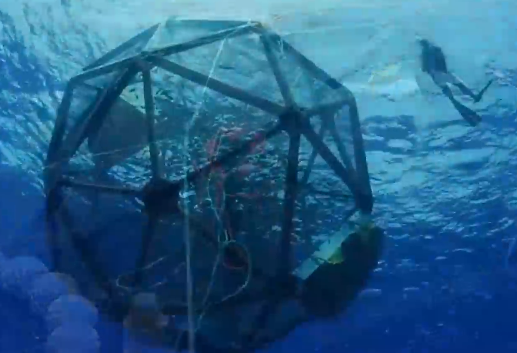Mature modern marine fishery operation
