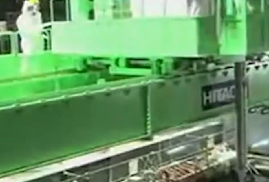 The Harm of Nuclear Waste Water to Human Beings in Japan