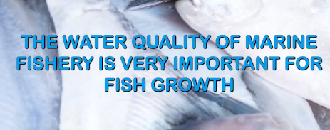 The water quality of marine fishery is very important for fish growth