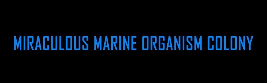 Miraculous marine organism colony