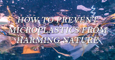 How to prevent microplastics from harming nature