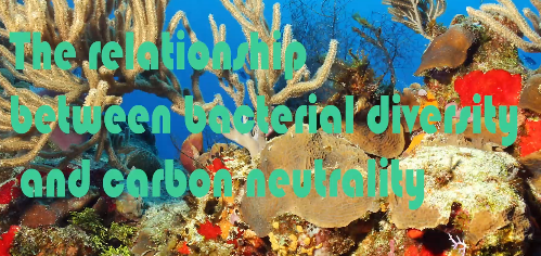 The relationship between bacterial diversity and carbon neutrality