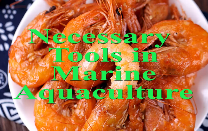 Necessary tools in marine aquaculture