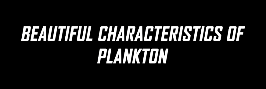 Beautiful characteristics of plankton