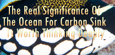 Carbon digestibility of ocean water color.