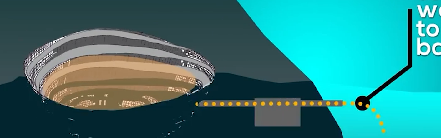 Fatal pollution to fish